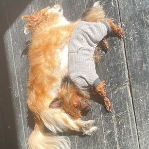 Meet your Posher, Donnapaul